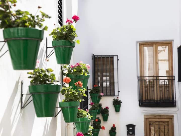 Apartamento En El Corazon De Las Alpujarras Carataunas Exterior photo